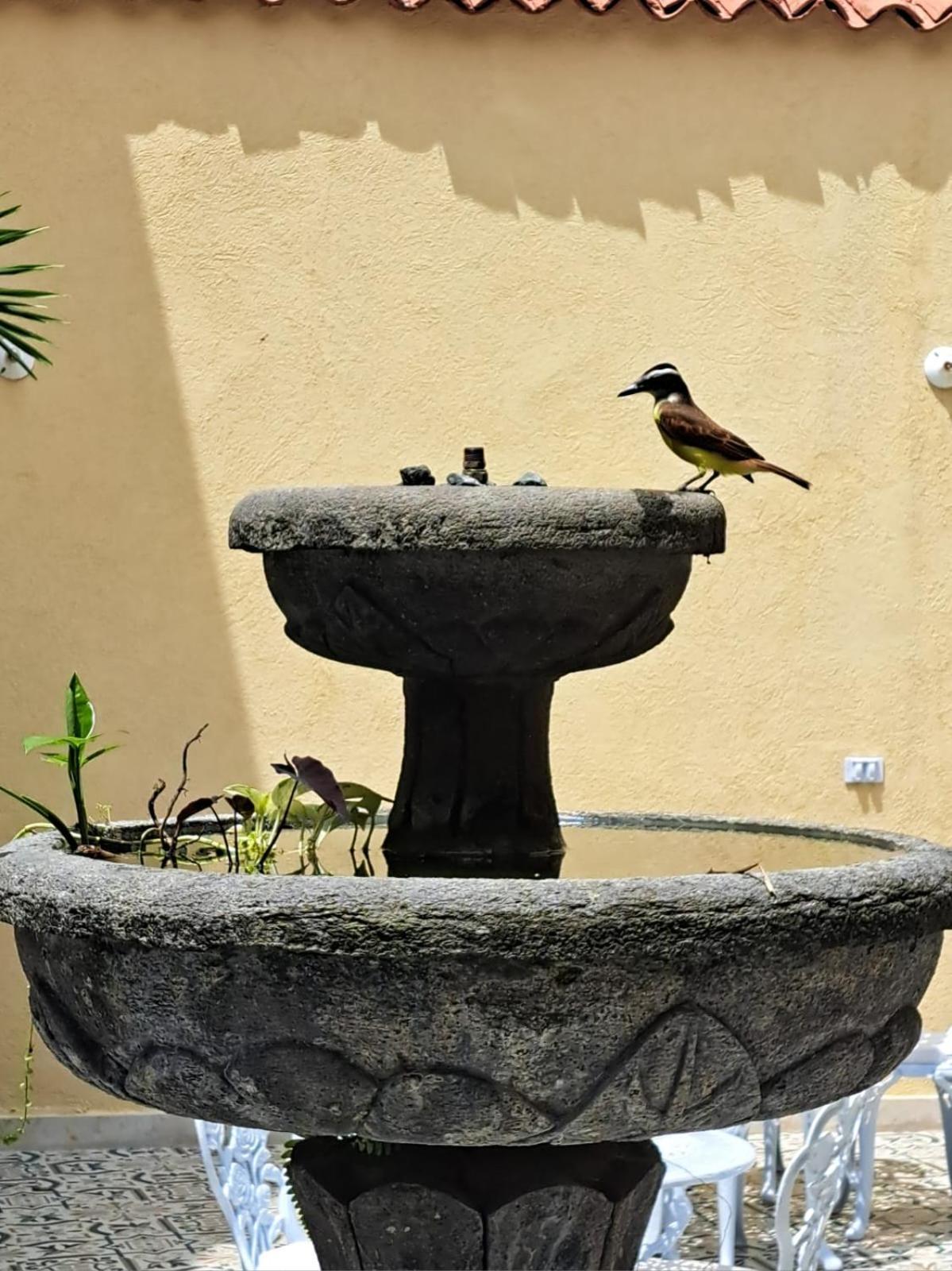 Casa Sileo - Boutique Hotel Cali Ngoại thất bức ảnh